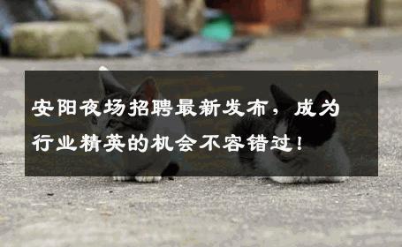 安阳夜场招聘最新发布，成为行业精英的机会不容错过！