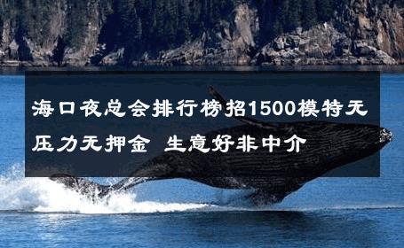 海口夜总会排行榜招1500模特无压力无押金 生意好非中介