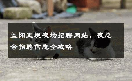 益阳正规夜场招聘网站，夜总会招聘信息全攻略