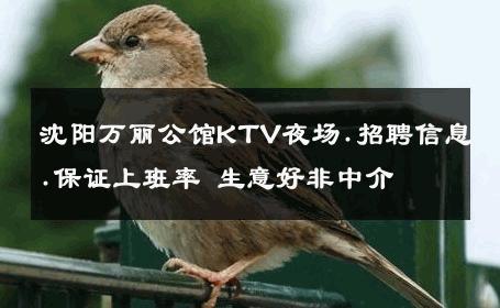 沈阳万丽公馆KTV夜场.招聘信息.保证上班率 生意好非中介