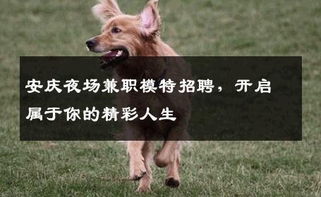 安庆夜场兼职模特招聘，开启属于你的精彩人生