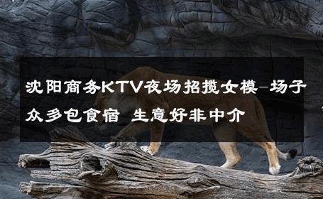 沈阳商务KTV夜场招揽女模-场子众多包食宿 生意好非中介