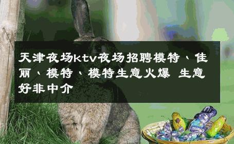 天津夜场ktv夜场招聘模特丶佳丽丶模特丶模特生意火爆 生意好非中介