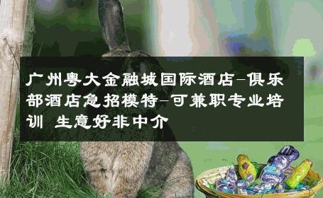 广州粤大金融城国际酒店-俱乐部酒店急招模特-可兼职专业培训 生意好非中介