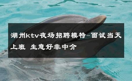 湖州ktv夜场招聘模特-面试当天上班 生意好非中介