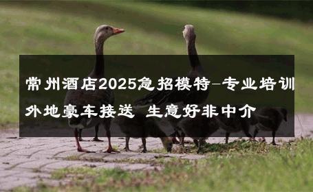 常州酒店2025急招模特-专业培训外地豪车接送 生意好非中介