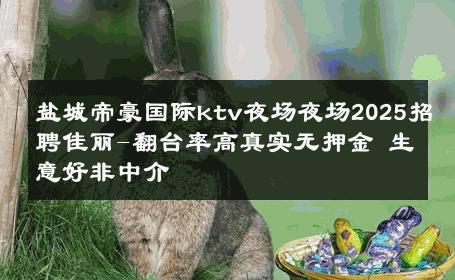 盐城帝豪国际ktv夜场夜场2025招聘佳丽-翻台率高真实无押金 生意好非中介
