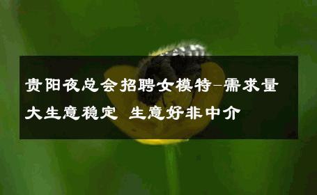 贵阳夜总会招聘女模特-需求量大生意稳定 生意好非中介