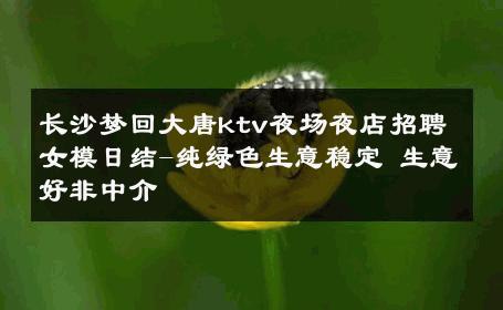 长沙梦回大唐ktv夜场夜店招聘女模日结-纯绿色生意稳定 生意好非中介