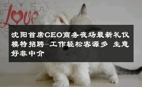 沈阳首席CEO商务夜场最新礼仪模特招聘-工作轻松客源多 生意好非中介