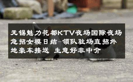 无锡魅力花都KTV夜场国际夜场急招女模日结-领队驻场直招外地豪车接送 生意好非中介