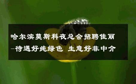 哈尔滨莫斯科夜总会招聘佳丽-待遇好纯绿色 生意好非中介