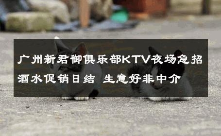 广州新君御俱乐部KTV夜场急招酒水促销日结 生意好非中介
