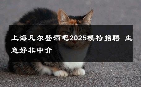 上海凡尔登酒吧2025模特招聘 生意好非中介