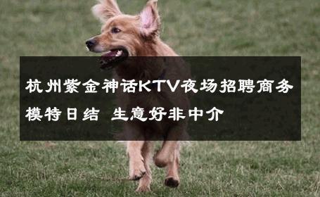 杭州紫金神话KTV夜场招聘商务模特日结 生意好非中介