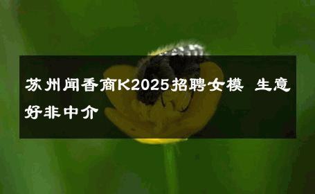 苏州闻香商K2025招聘女模 生意好非中介