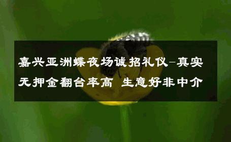 嘉兴亚洲蝶夜场诚招礼仪-真实无押金翻台率高 生意好非中介
