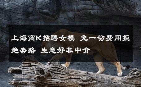 上海商K招聘女模-免一切费用拒绝套路 生意好非中介
