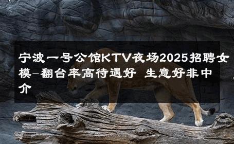 宁波一号公馆KTV夜场2025招聘女模-翻台率高待遇好 生意好非中介