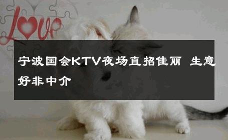 宁波国会KTV夜场直招佳丽 生意好非中介