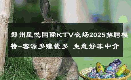 郑州星悦国际KTV夜场2025招聘模特-客源多赚钱多 生意好非中介