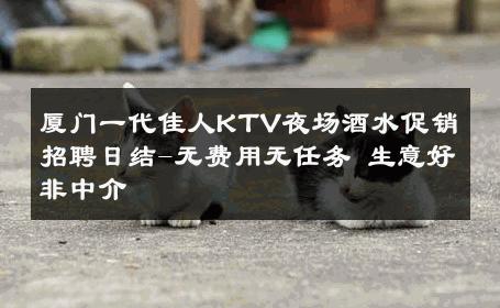 厦门一代佳人KTV夜场酒水促销招聘日结-无费用无任务 生意好非中介