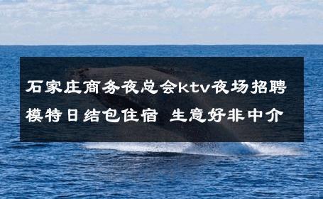 石家庄商务夜总会ktv夜场招聘模特日结包住宿 生意好非中介
