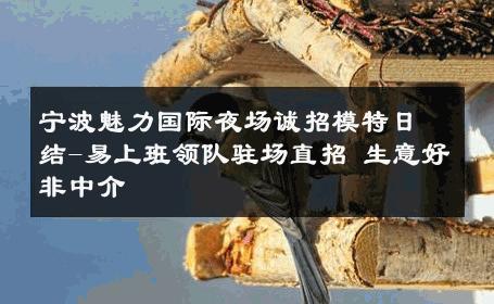 宁波魅力国际夜场诚招模特日结-易上班领队驻场直招 生意好非中介