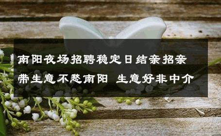 南阳夜场招聘稳定日结亲招亲带生意不愁南阳 生意好非中介