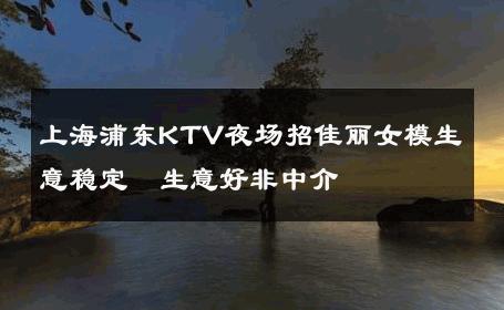 上海浦东KTV夜场招佳丽女模生意稳定  生意好非中介