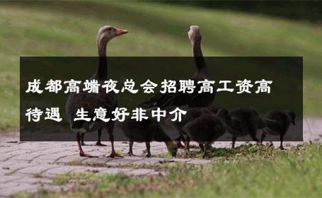 成都高端夜总会招聘高工资高待遇 生意好非中介