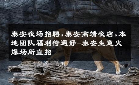 泰安夜场招聘,泰安高端夜店,本地团队福利待遇好-泰安生意火爆场所直招