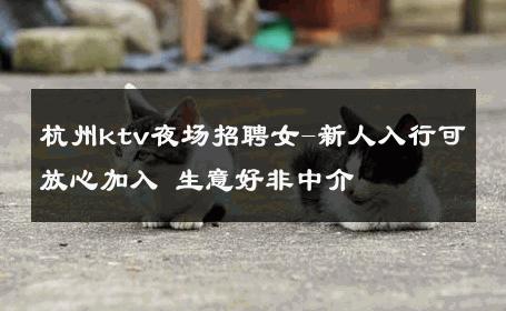 杭州ktv夜场招聘女-新人入行可放心加入 生意好非中介
