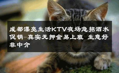 成都漂亮生活KTV夜场急招酒水促销-真实无押金易上班 生意好非中介