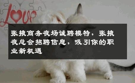 张掖商务夜场诚聘模特，张掖夜总会招聘信息，吸引你的职业新机遇