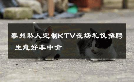 泰州私人定制KTV夜场礼仪招聘 生意好非中介