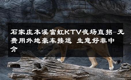 石家庄本溪富虹KTV夜场直招-无费用外地豪车接送 生意好非中介