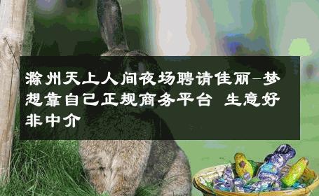 滁州天上人间夜场聘请佳丽-梦想靠自己正规商务平台 生意好非中介