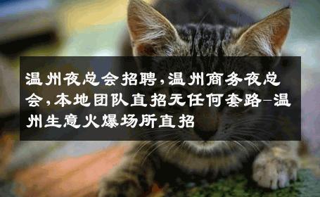 温州夜总会招聘,温州商务夜总会,本地团队直招无任何套路-温州生意火爆场所直招