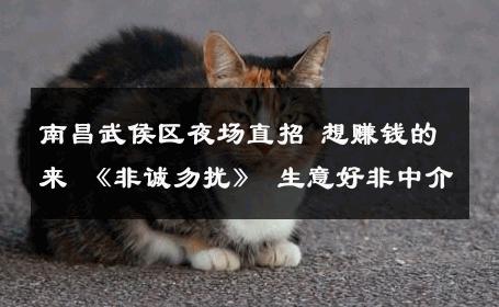 南昌武侯区夜场直招 想赚钱的来 《非诚勿扰》 生意好非中介