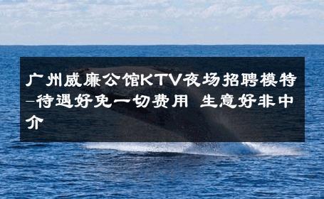 广州威廉公馆KTV夜场招聘模特-待遇好免一切费用 生意好非中介
