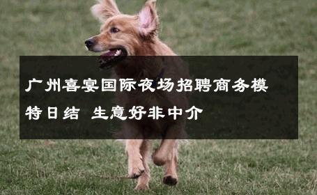 广州喜宴国际夜场招聘商务模特日结 生意好非中介