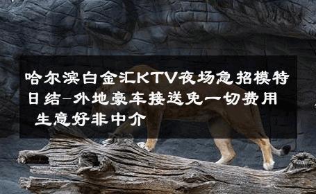 哈尔滨白金汇KTV夜场急招模特日结-外地豪车接送免一切费用 生意好非中介