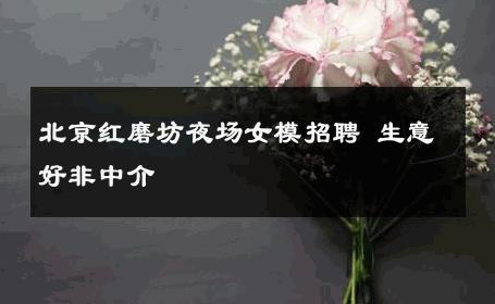 北京红磨坊夜场女模招聘 生意好非中介