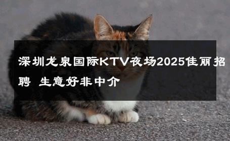 深圳龙泉国际KTV夜场2025佳丽招聘 生意好非中介