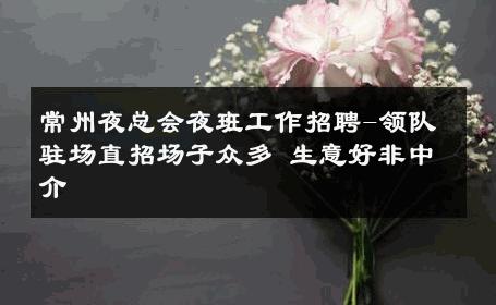 常州夜总会夜班工作招聘-领队驻场直招场子众多 生意好非中介