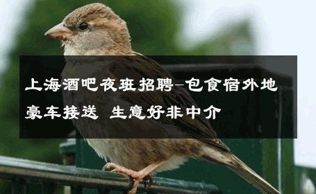 上海酒吧夜班招聘-包食宿外地豪车接送 生意好非中介