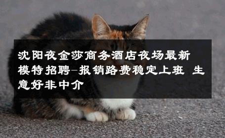 沈阳夜金莎商务酒店夜场最新模特招聘-报销路费稳定上班 生意好非中介