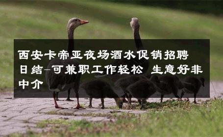 西安卡帝亚夜场酒水促销招聘日结-可兼职工作轻松 生意好非中介