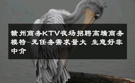 赣州商务KTV夜场招聘高端商务模特-无任务需求量大 生意好非中介